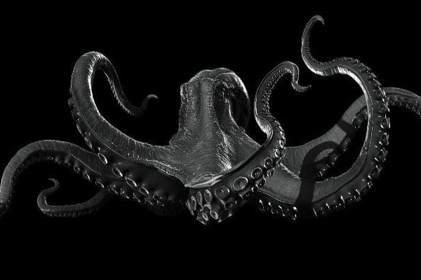 Kraken зеркало рабочее