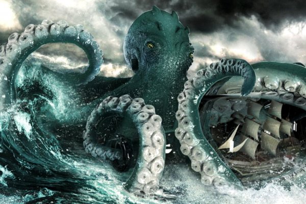 Kraken рынок